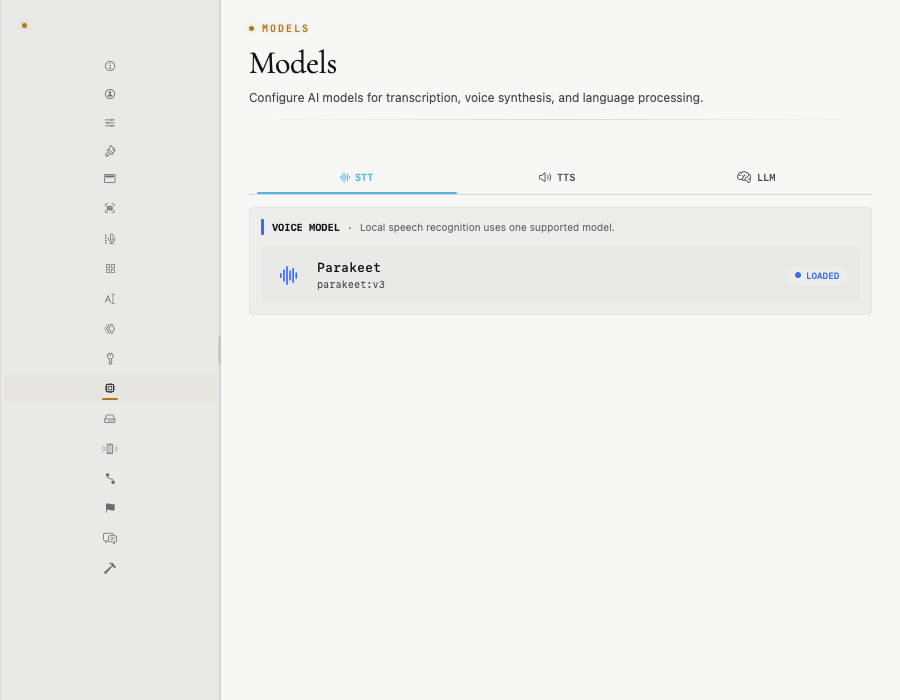 Transcription Settings